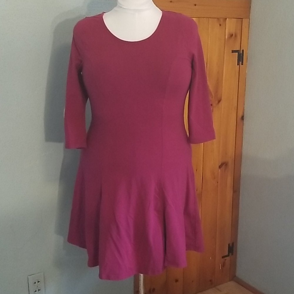 Raspberry Fit and Flare Dress